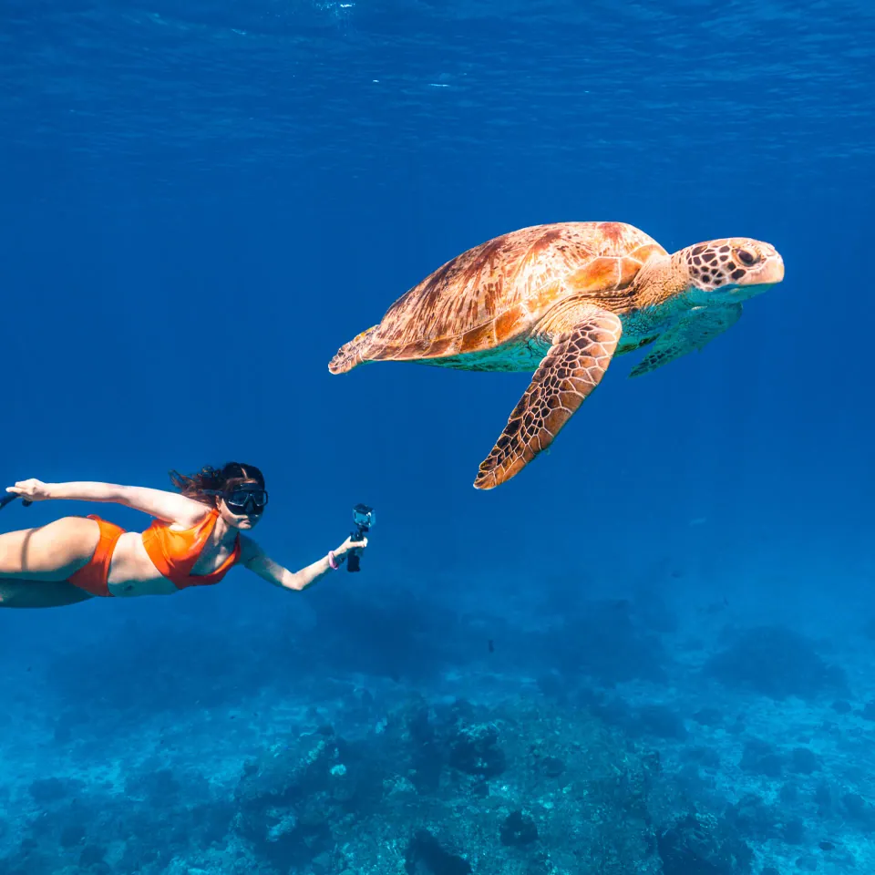 Un apnéiste nageant aux côtés d’une tortue verte dans une eau bleue et limpide